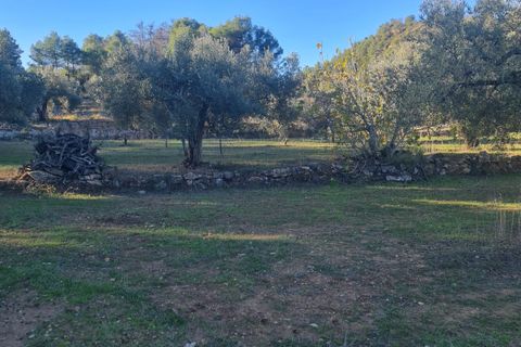 Landejendom i Asco, Tarragona, Asco - € 29.000 | Ref: 1003 Pasco - foto 16